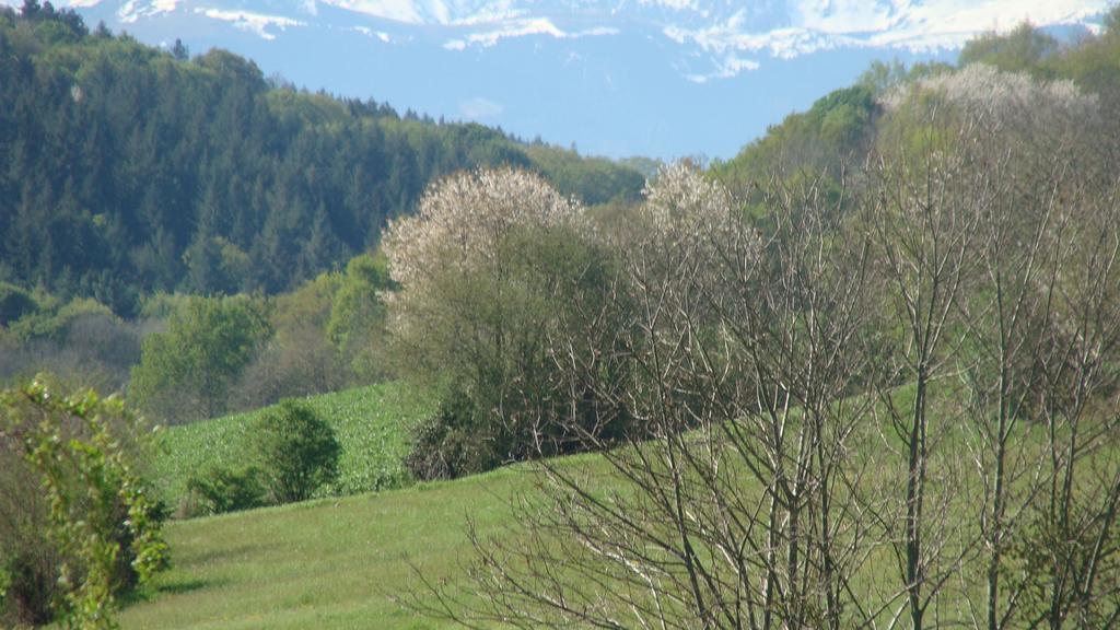 Gite Du Paradis Vieuzos Zewnętrze zdjęcie
